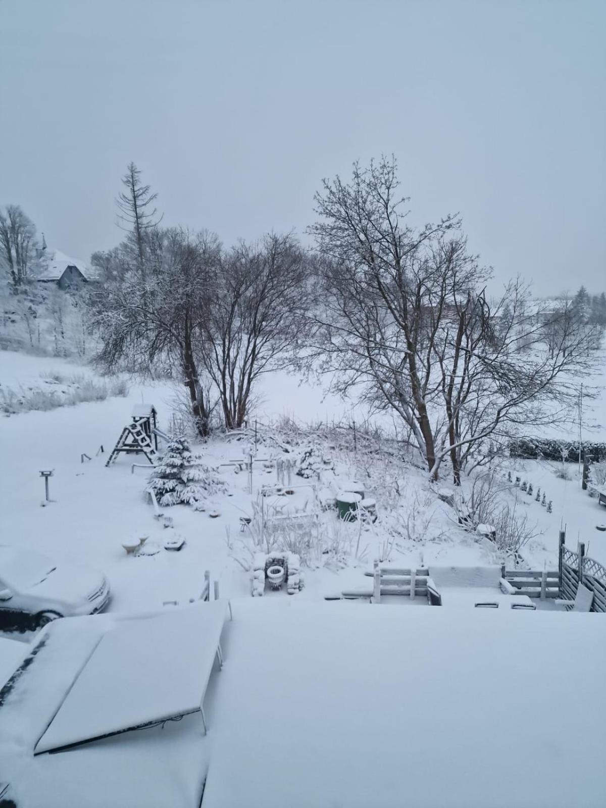 Mikes Fewo Braunlage Exteriör bild