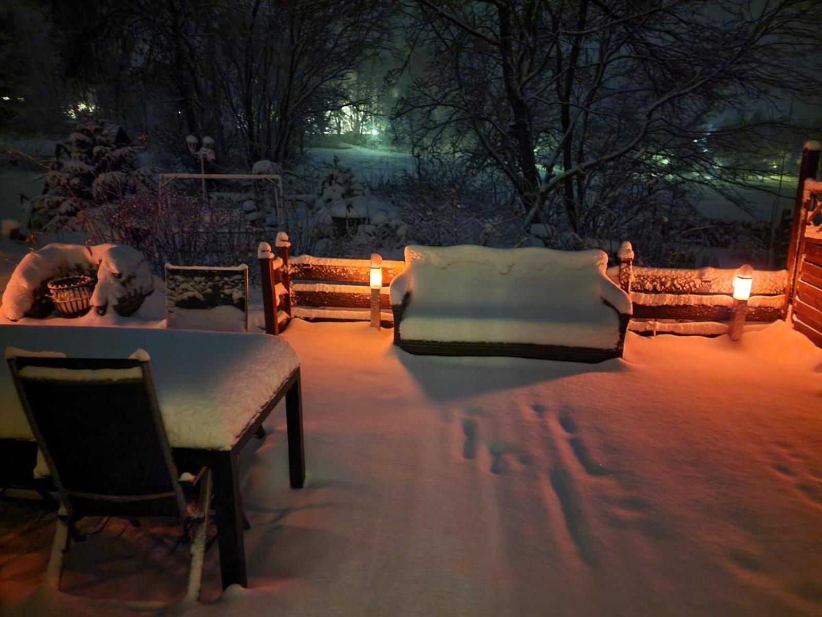 Mikes Fewo Braunlage Exteriör bild