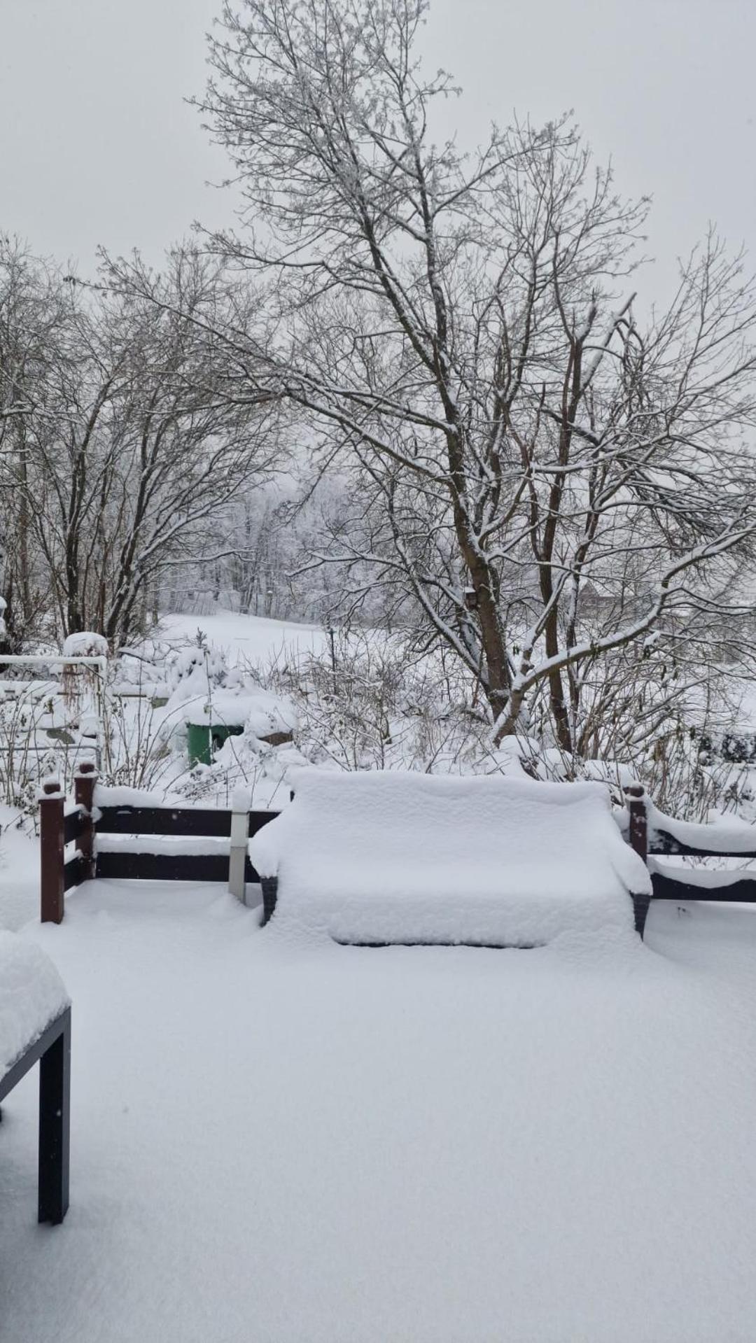Mikes Fewo Braunlage Exteriör bild
