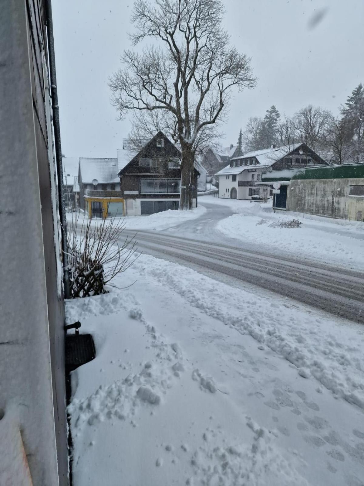 Mikes Fewo Braunlage Exteriör bild